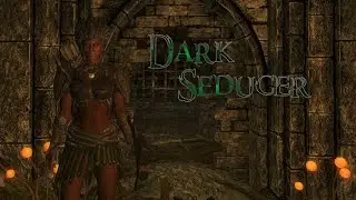Shamora, The Duchess of Dementia | Skyrim Build Guide