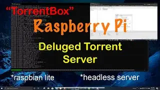 howto: Raspberry Pi Deluged Torrent Server 