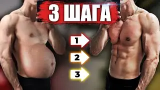 How to Lose Belly Fat in 3 Steps (And How Long Does It Take to Lose Weight) 16+