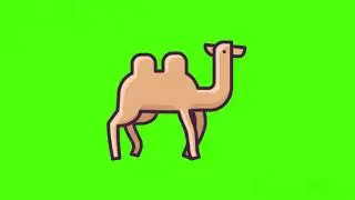 Camel 🐫 - 2D animated, Green Screen Video 