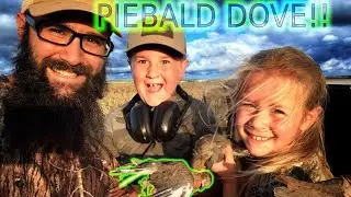 Rare Dove while Dove Hunting with my Son and Daughter!!!