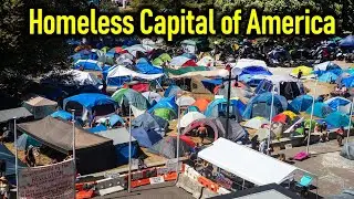 Is Seattle Becoming the Homeless Capital of America?