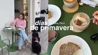 unos días de “primavera” 🌷 mejoremos una semana no tan buena
