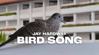 Jay Hardway - Bird Song (Official Music Video)