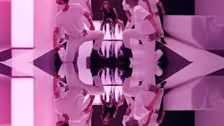 Mirror effect in adobe Premiere pro