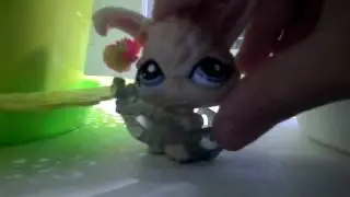 Скоро новые видео