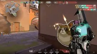 Valorant | 4k with collat
