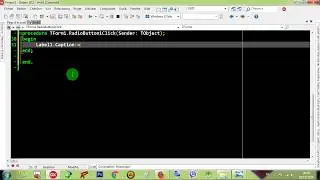 Rad Studio Delphi 011 RadioButton & RadioGroup