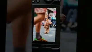 Dog-Street-Photography 📸🐕 