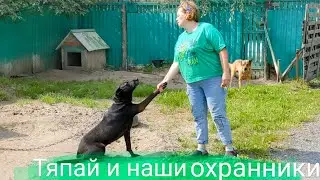 Тяпай и наши охранники