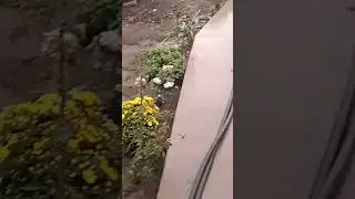 Вот и осень 02.10.24 год.