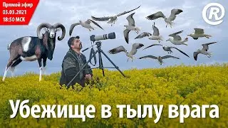 «Убежище в тылу врага» Запсиь стрима от 03.03.2021.