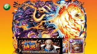 [OPTC] Garp Challenge Navy - DEX