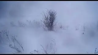 А  Пушкин  Буран в степи  Отрывок из повести Капитанская дочка 