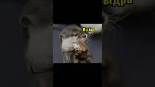 Что нужно если ваш тереотип это?)
