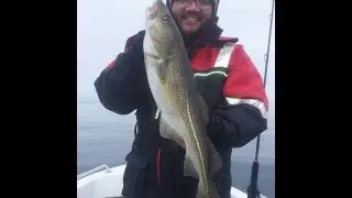 Langelandsbæltet 27 feb. 2016