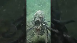 Анапа. Кракен😲. Еще мелковат😂