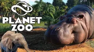 Planet ZOO🐵Посмотрим как пиратка