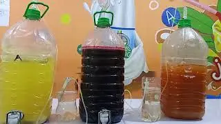 Fermentation du vin de fruits ( barboteur, fermenteur)( ananas, oseille, papaye)