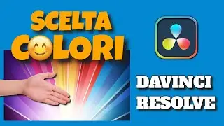 Davinci Resolve - palette colore.