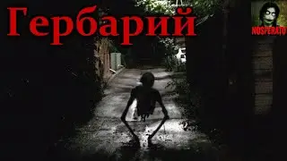 Гербарий - Сборник страшных историй. Часть 1. Страшные истории на ночь. Страшилки на ночь