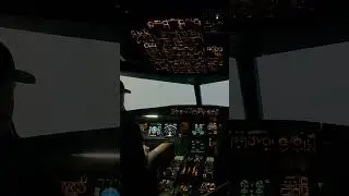 A320 Autoland  #cheesepilot #airplane #pilotlife