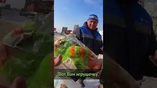 Виталя сомневался, но помог. Дал незамерзайки в мороз. 