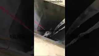 A cat was rescued after being trapped in a well for 3 days... #cat #GAU #gausevasansthan #gaumata