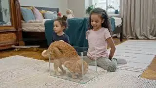 funny animals video🤠_best funny video for this year😍💫#animals #animallover #animal_world