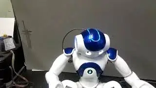 Восстановленный робот Nao V5 - доступен для покупки