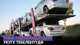 Унаа ташыгандардын укугу тебеленүүдө