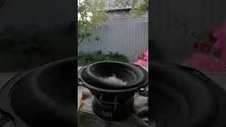 Bass Test Speaker
