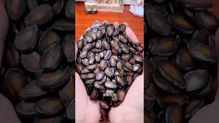 Why are the Chinese destroying tons of watermelons?