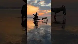 Sunset #animalflow with my dogs 😁 #workout #stretching #yoga