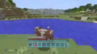 My survival world