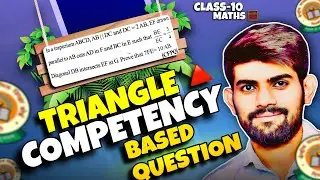 Competency Based Question | Triangle Class 10 | Ch 6 Maths Class 10 |