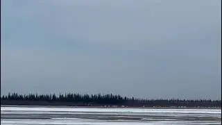 Сезон охоты 2021