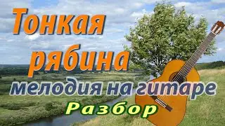 Тонкая рябина - мелодия на гитаре (разбор)