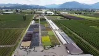 Fly Over Van Belle Nursery | Drone Tour 2020