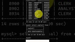 avg  function