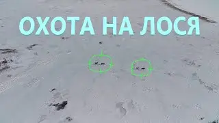 Охота с воздуха на Лося и Кабана в Оренбургской области#FimiX8SE2022