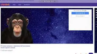 Меня троллит мартышка!!!
