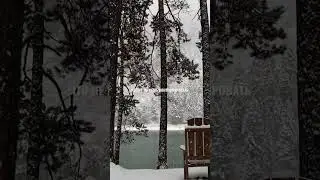 Перестань волноваться о том, что не можешь контролировать…