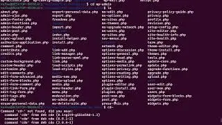 installing WordPress with Nginx on Ubuntu , fixing database errors, permissions denied