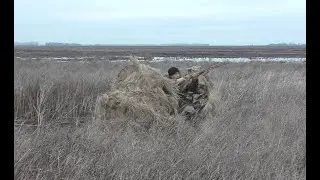 Весенняя охота на селезня с подсадной уткой. Тест самодельного скрадка. Drake hunting with a decoy.