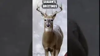 Christmas Deer Short