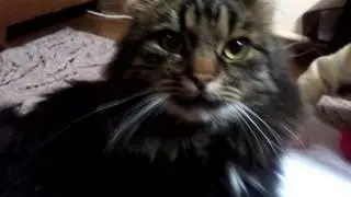 Малюють