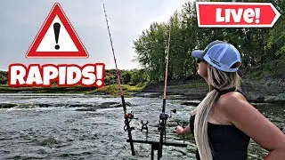 Catfish Below DANGEROUS RAPIDS- LIVE