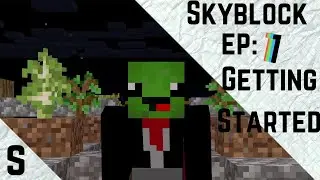 Minecraft Skyblock ep1: Getting Started