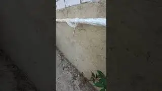 Цоколь дёшево и  симпатично